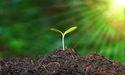 What’s Driving Heidrick & Struggles’ Bold Move in Sustainability?
