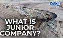 What is junior company?