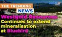  Westgold Resources continues to extend mineralisation at Bluebird – South Junction Project 